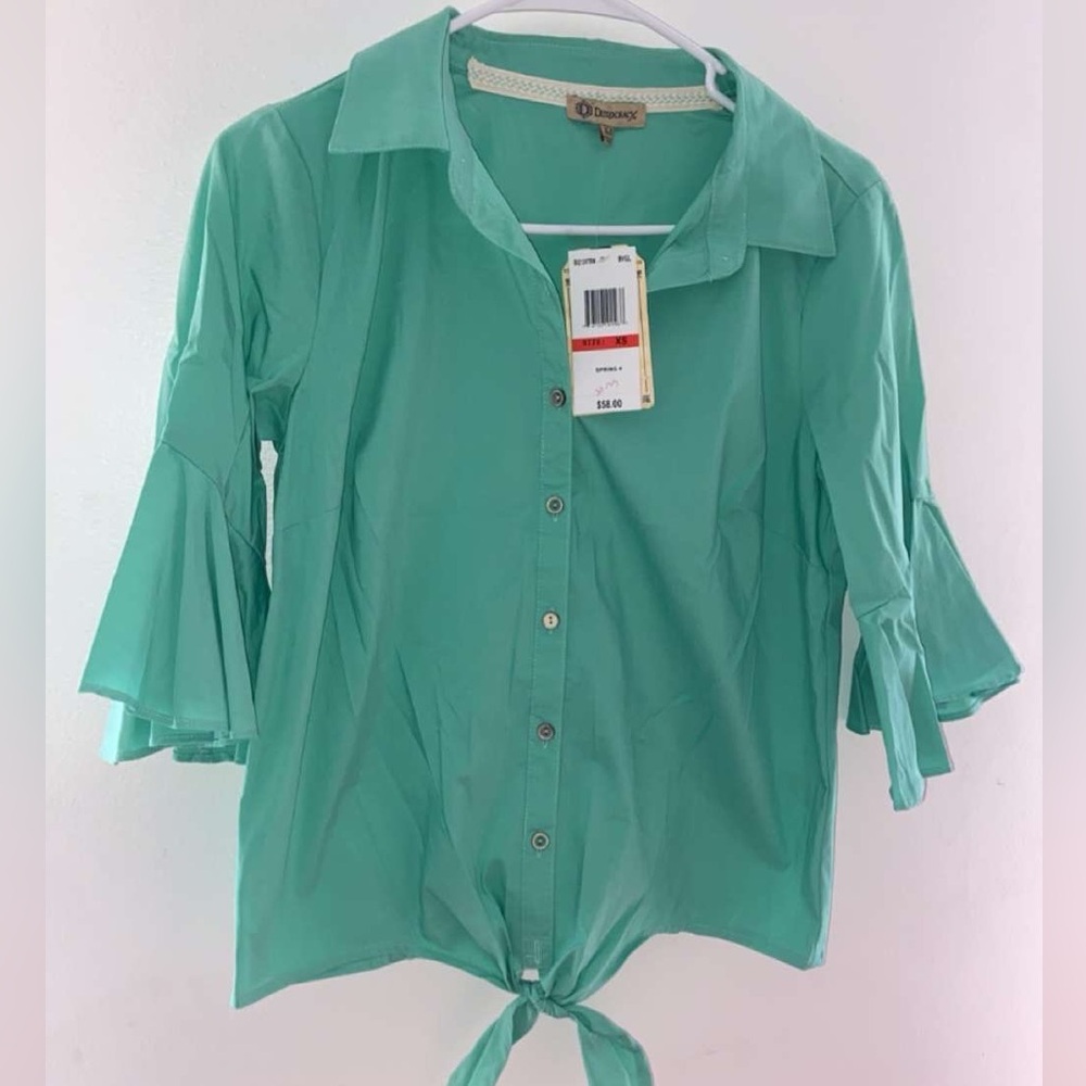 Turquoise democracy top